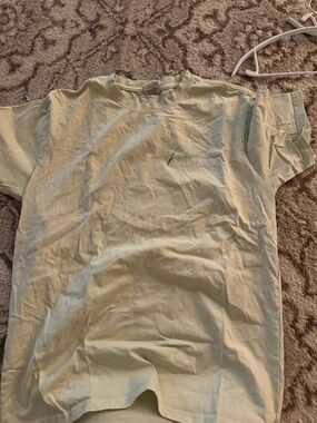 Living Fully Co Crewneck Tee in Light Green